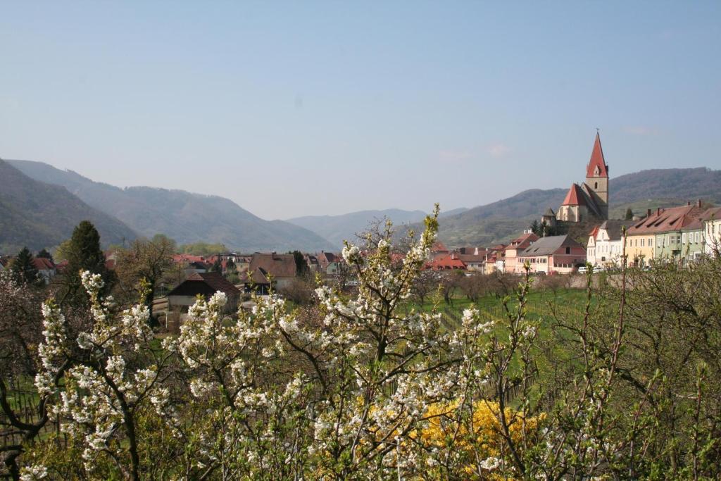 Donauhof - Hotel Garni Weissenkirchen in der Wachau Exterior foto